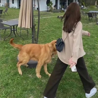 打破沉默